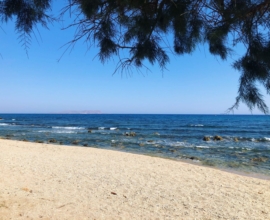 Ξενοδοχείο – Λοθιάρικα