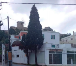 Kατοικία με κατάστημα